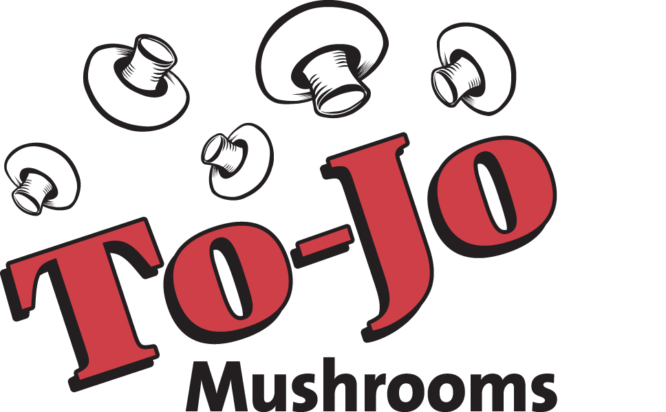 ToJo_Logo Four color_0